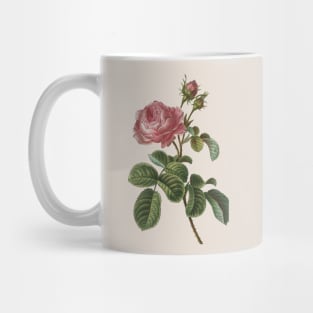 Rose Flower Vintage Botanical Illustration Mug